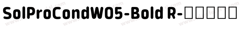 SolProCondW05-Bold R字体转换